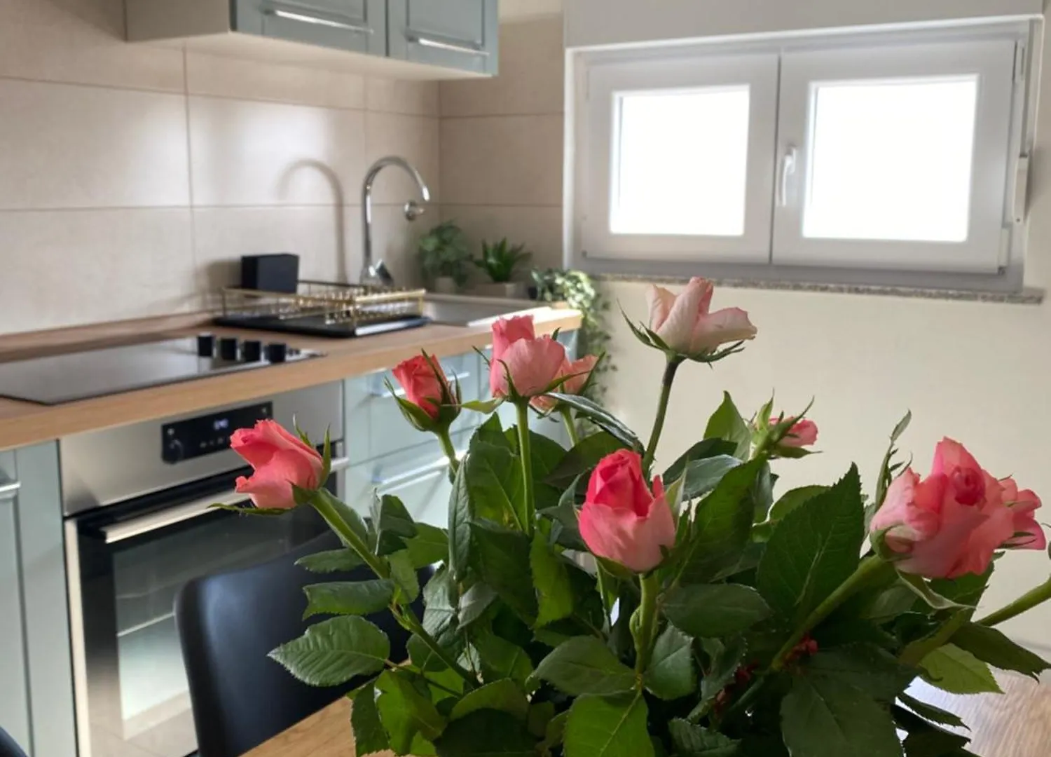 Apartments Jozephine Pula Croatia